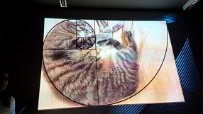 С любопытными свойствами последовательности Фибоначчи знакомились наши учащиеся группы «Дизайн и Web-технологии» на занятии